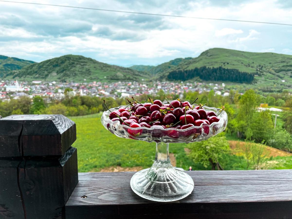 Panoramic Sus In Deal Viseu de Jos Bagian luar foto